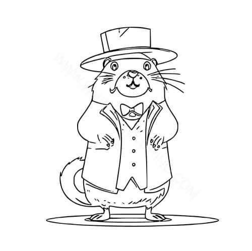 Dapper groundhog Dapper groundhog