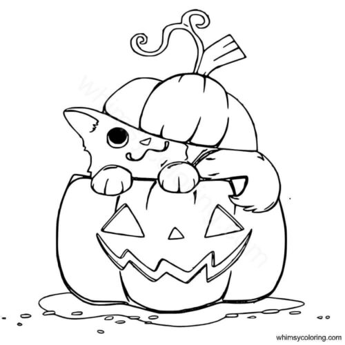 Halloween cat inside Jack o Lantern Halloween cat inside Jack o Lantern