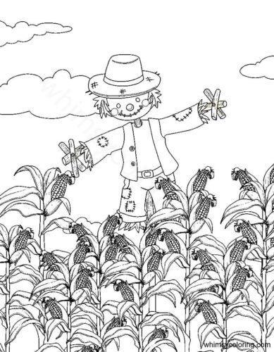Scarecrow in corn field Scarecrow in corn field