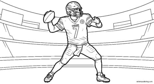 Pittsburgh Steelers player