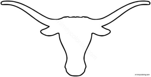 Texas Longhorns Texas Longhorns