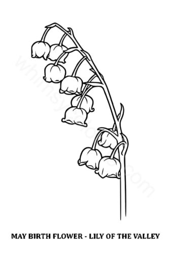 May month flower coloring page May month flower coloring page