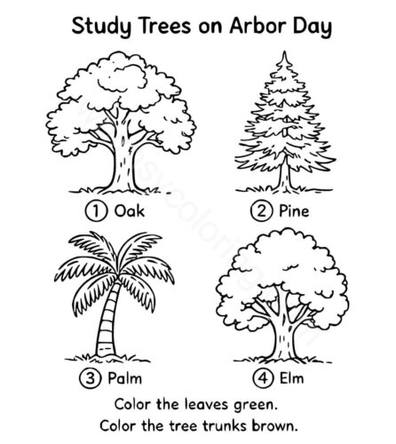 Study trees on Arbor Day Study trees on Arbor Day