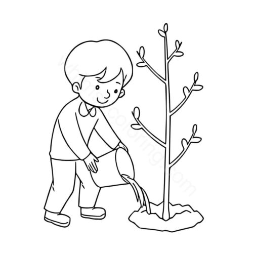 Water your plant Water your plant