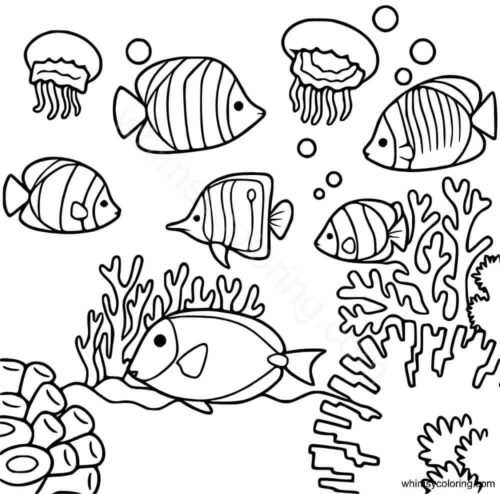 Fish coloring pages PDF