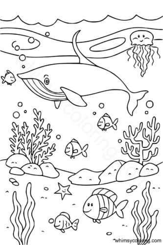 Humpback whale coloring page printable