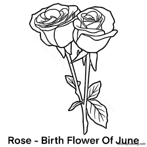 June birth flower coloring page June birth flower coloring page