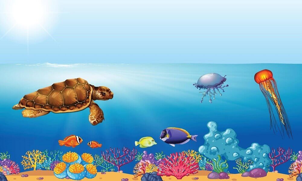 Under the sea