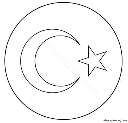 Turkey National Football Team Logo